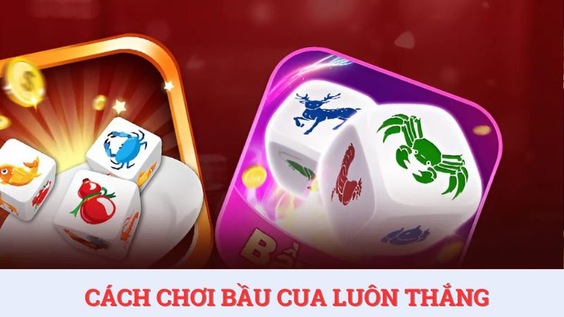 Hé lộ những cách chơi bầu cua luôn thắng và hiệu quả
